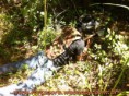 /album/galeria-de-fotos/jogo-09-01-2011-13-jpg/